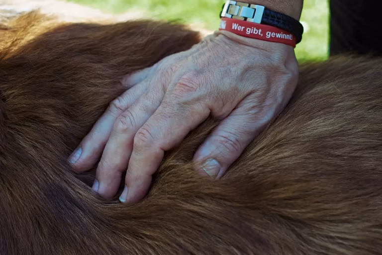 Eine ältere Hand ruht sanft auf dem Rücken eines Hundes.