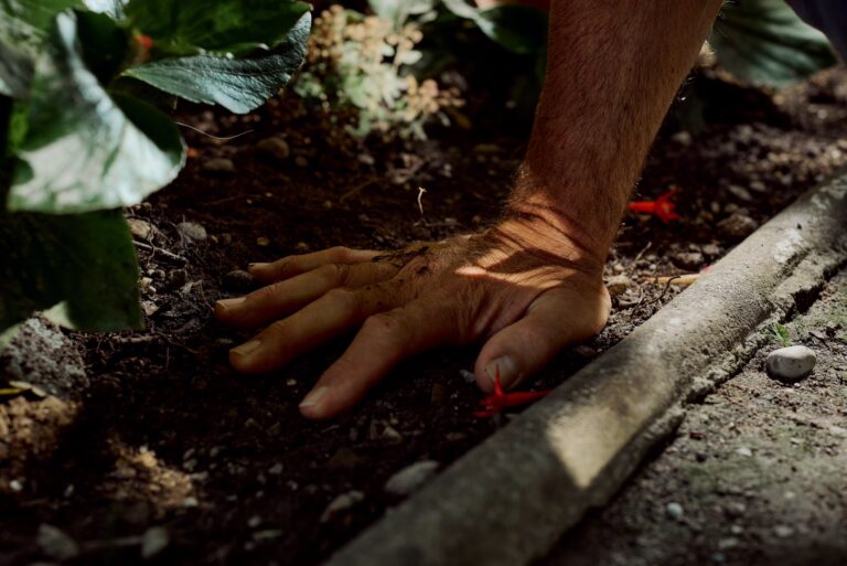 Eine Hand drückt sich in lockere Gartenerde zwischen grünen Blättern und kleinen roten Blüten. Das warme Sonnenlicht und die Schatten der Pflanzen betonen die Struktur der Erde und vermitteln die enge Verbindung zwischen Mensch und Natur.